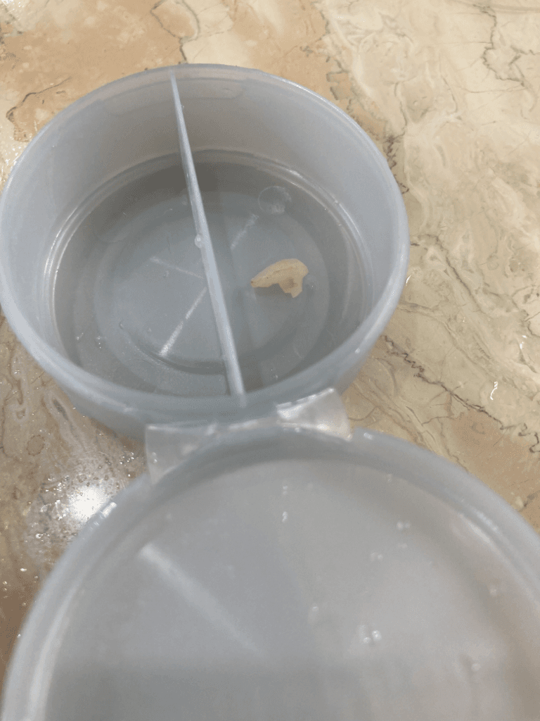 2번 째 사진