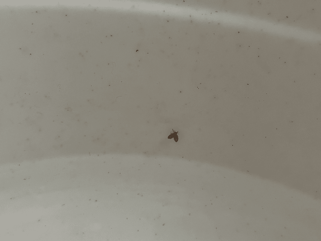 3번 째 사진
