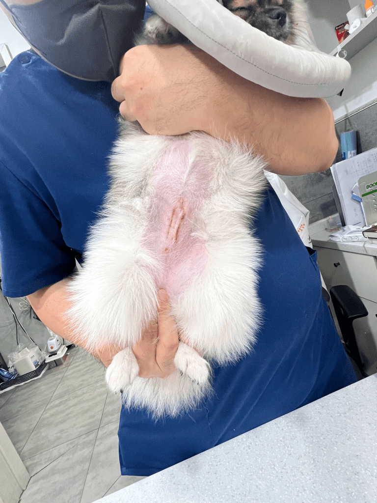 1번 째 사진