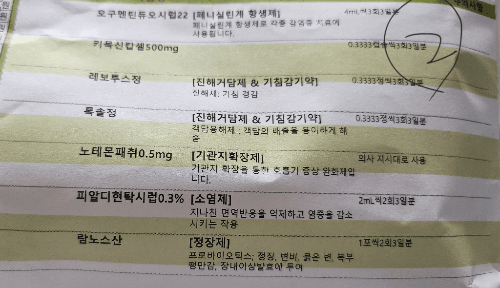2번 째 사진