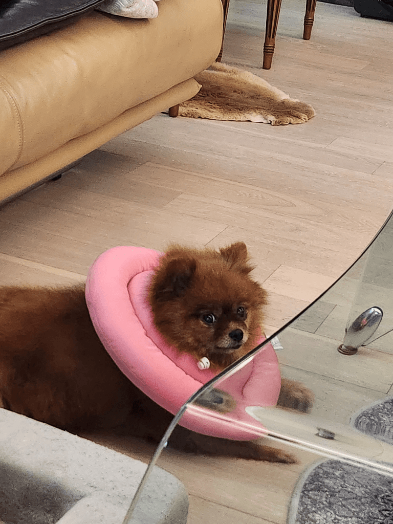 1번 째 사진