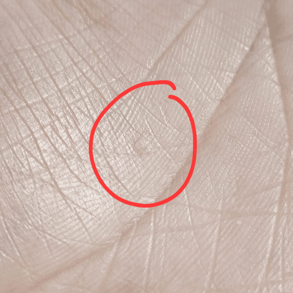 5번 째 사진
