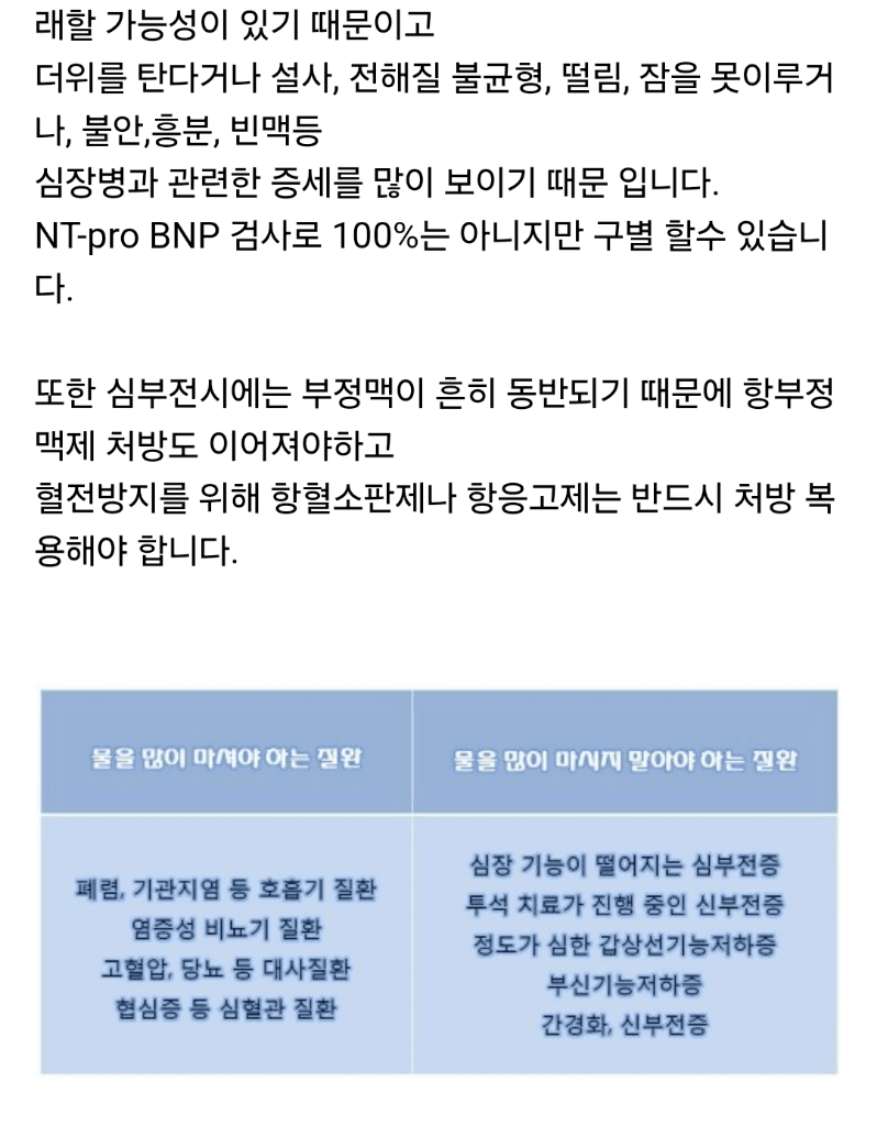 4번 째 사진