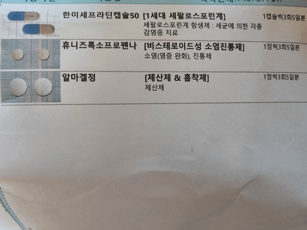 1번 째 사진