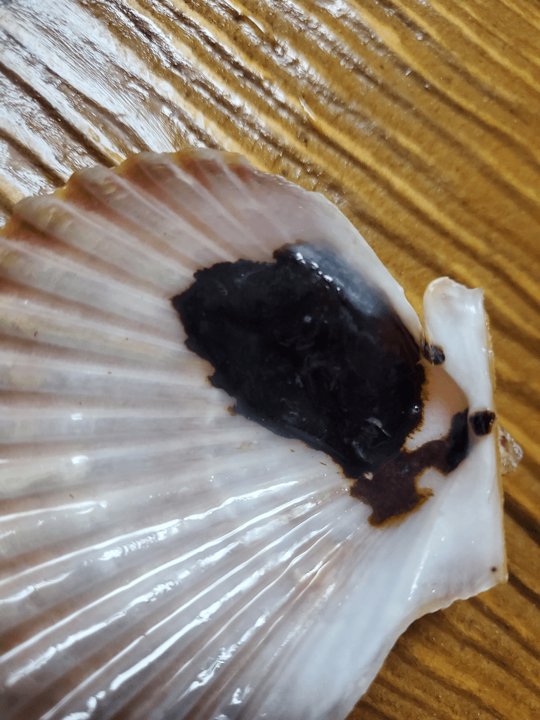 3번 째 사진