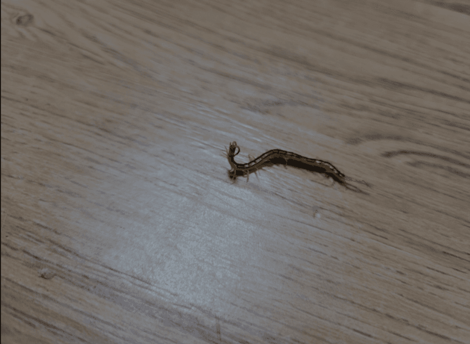 2번 째 사진