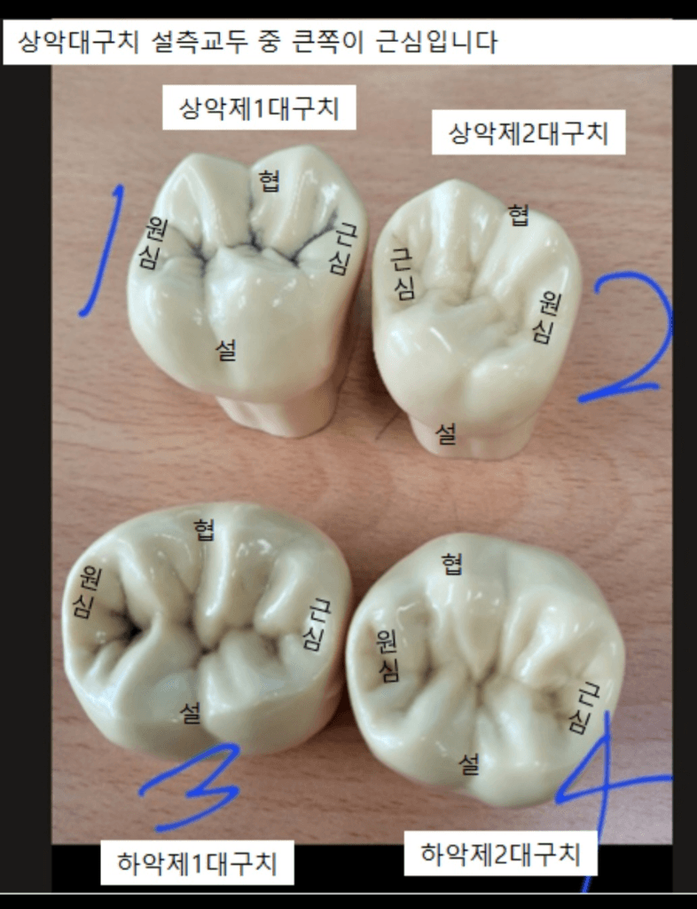 1번 째 사진