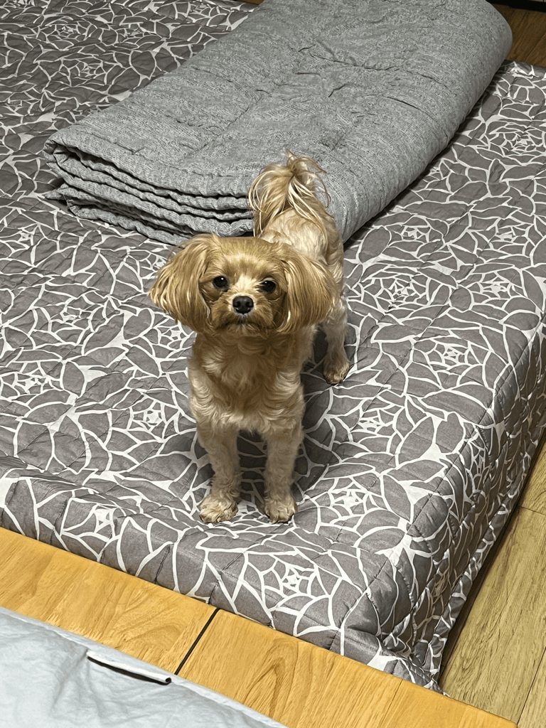 2번 째 사진