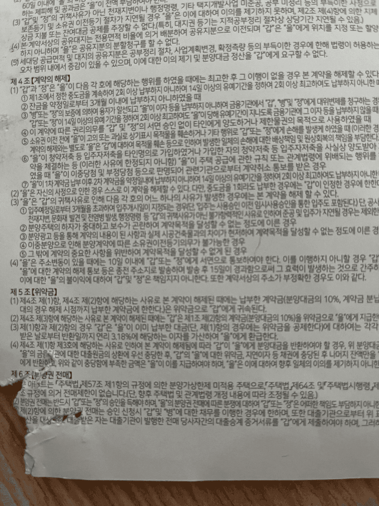 1번 째 사진