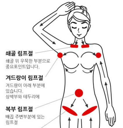 2번 째 사진