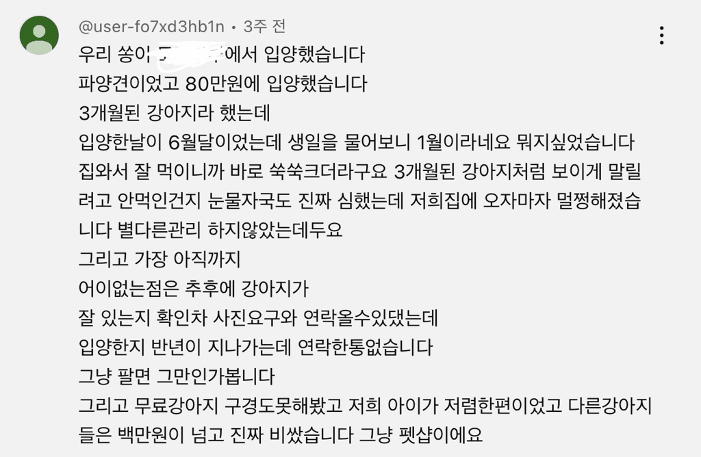 5번 째 사진