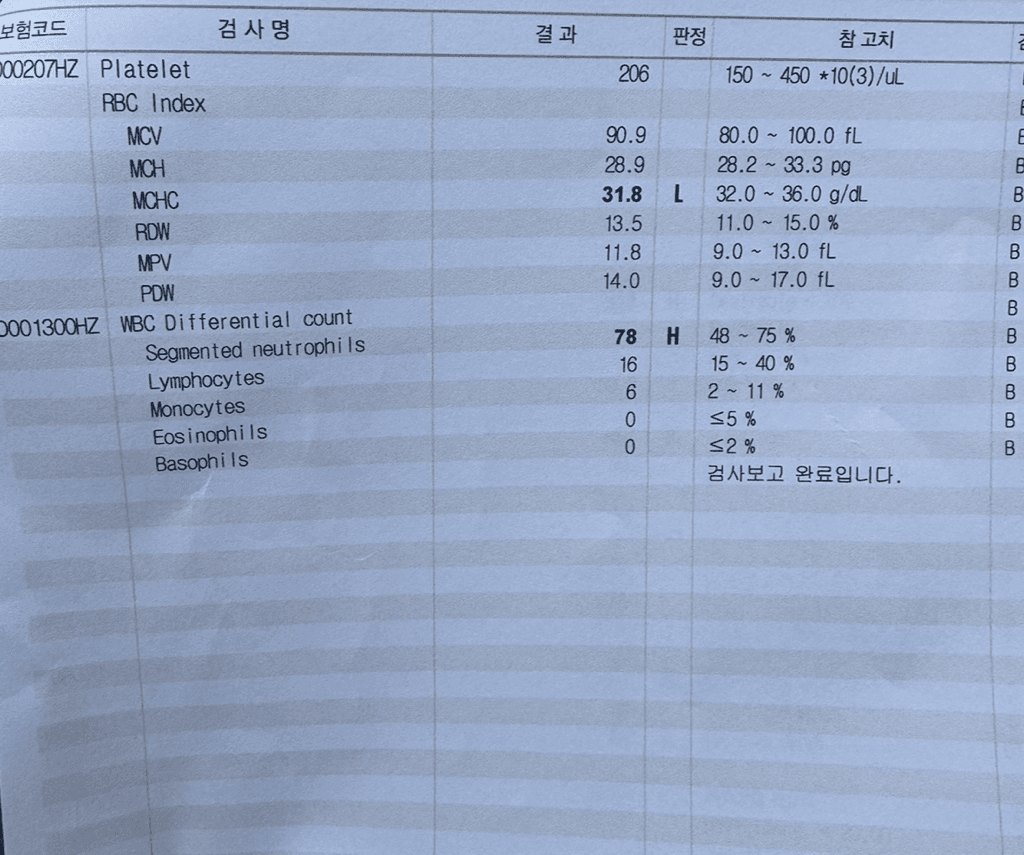 4번 째 사진