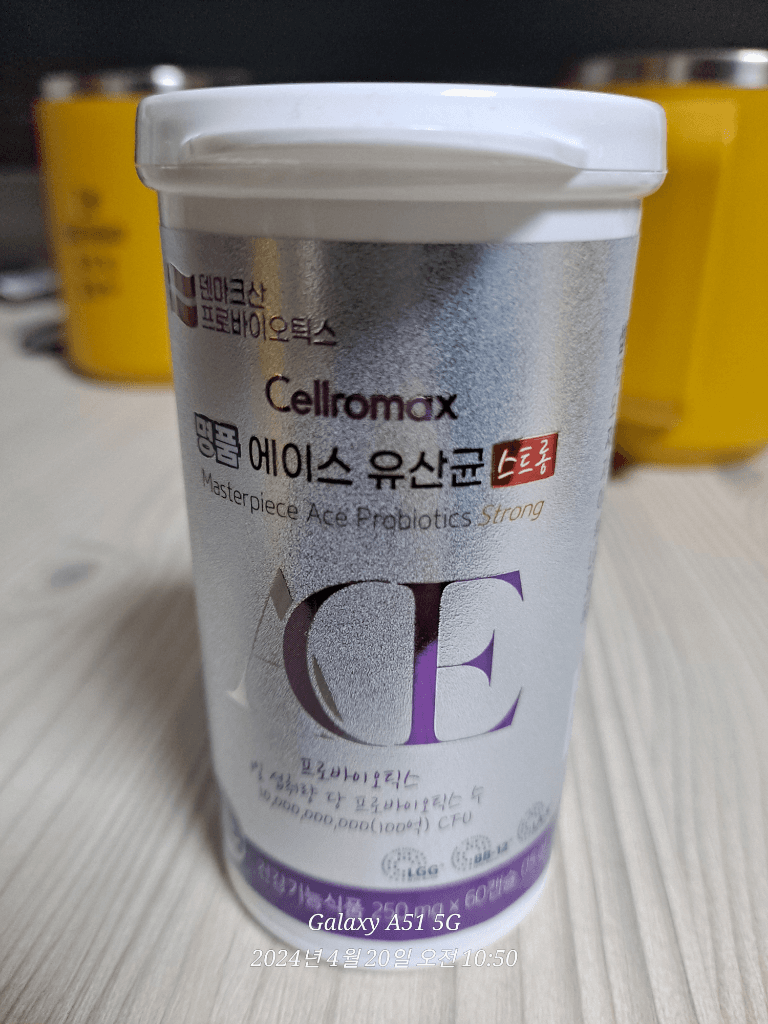 13번 째 사진