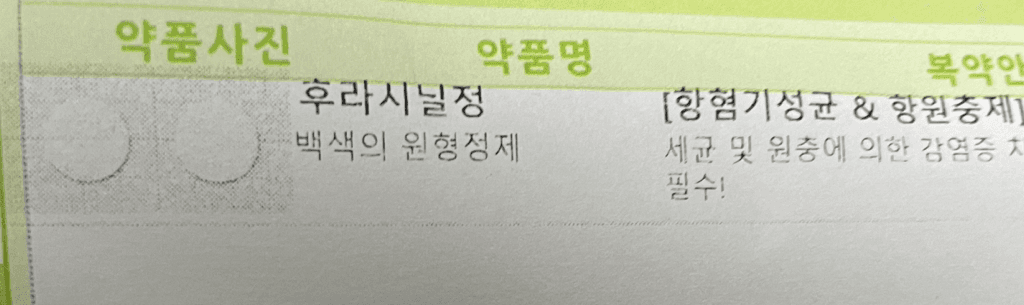 2번 째 사진
