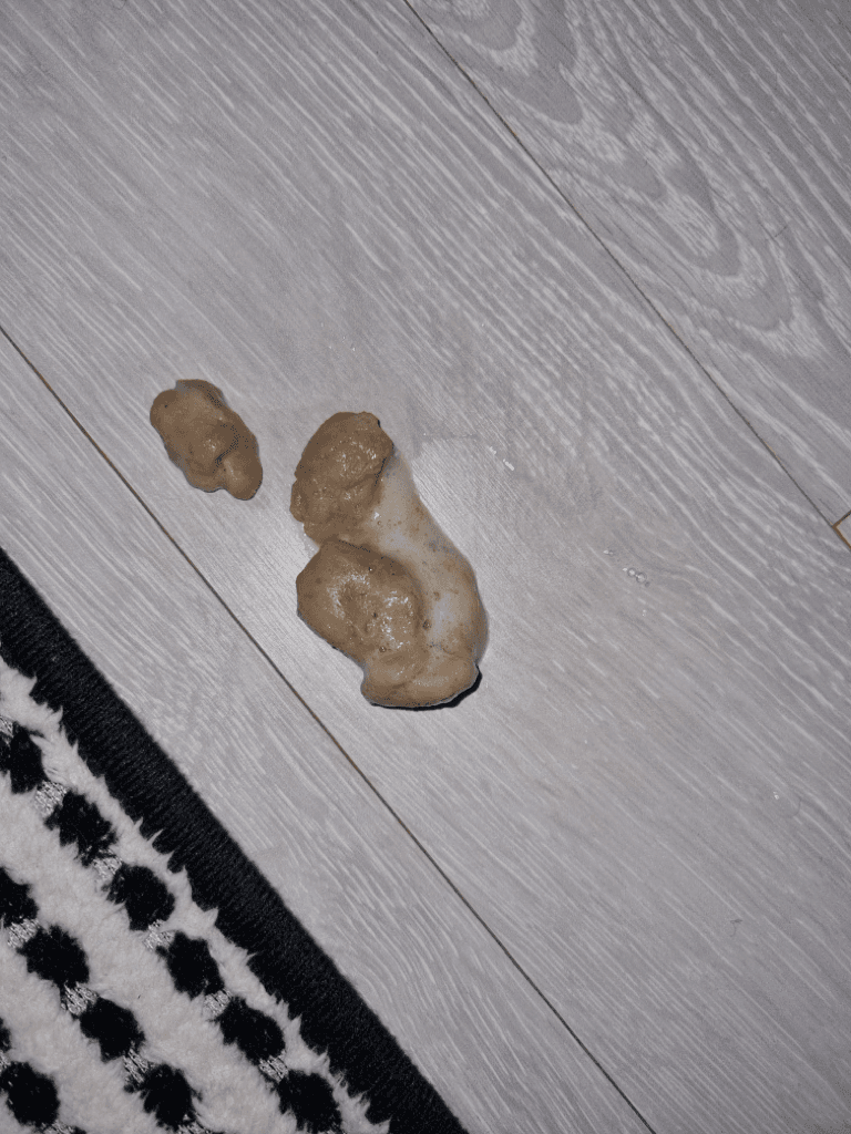 3번 째 사진