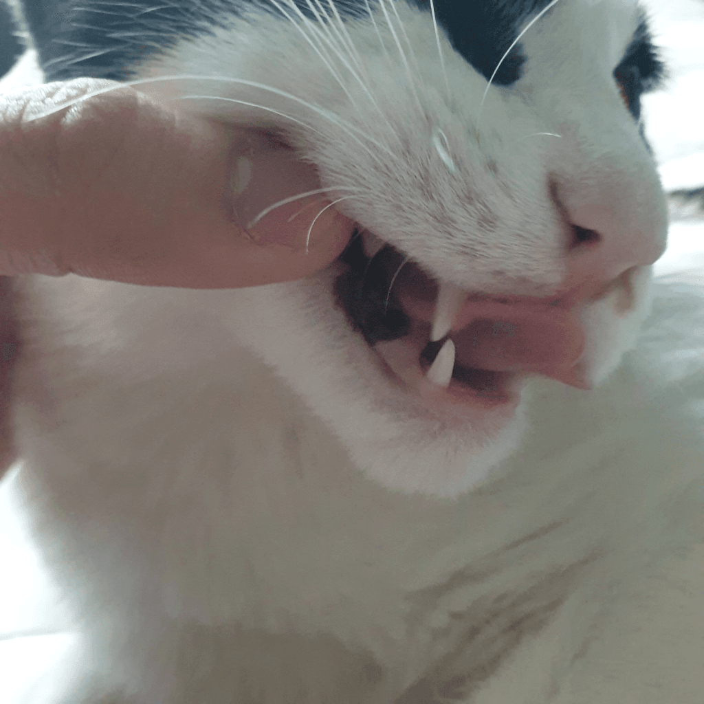3번 째 사진