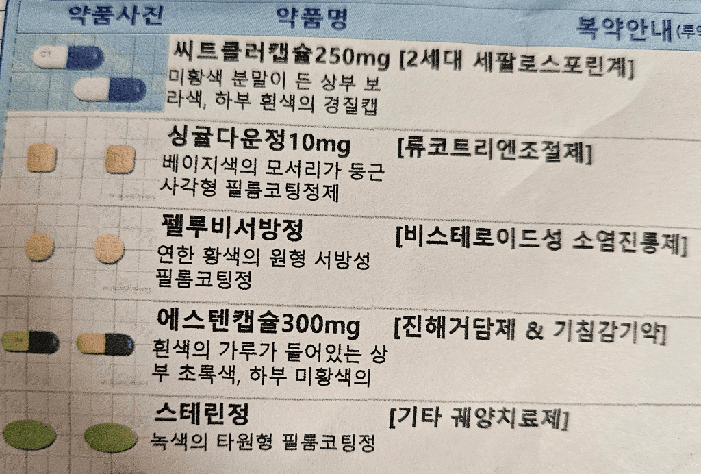 1번 째 사진