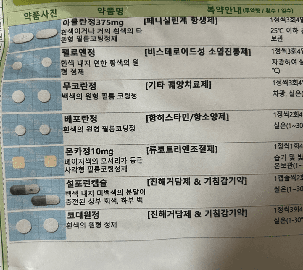 2번 째 사진