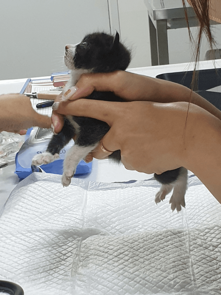 3번 째 사진