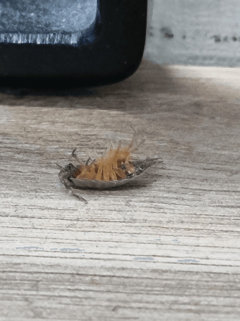 2번 째 사진