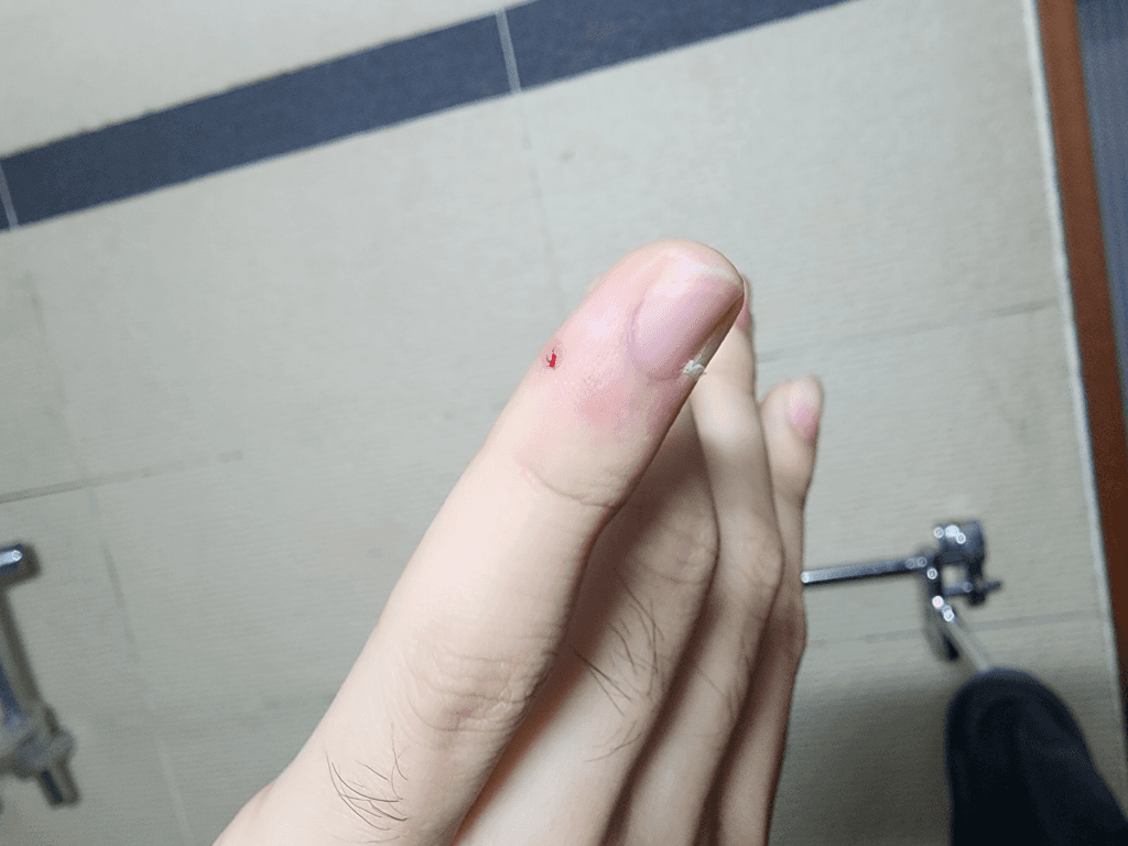2번 째 사진
