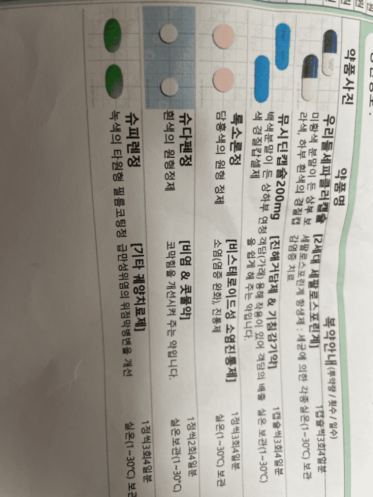 2번 째 사진