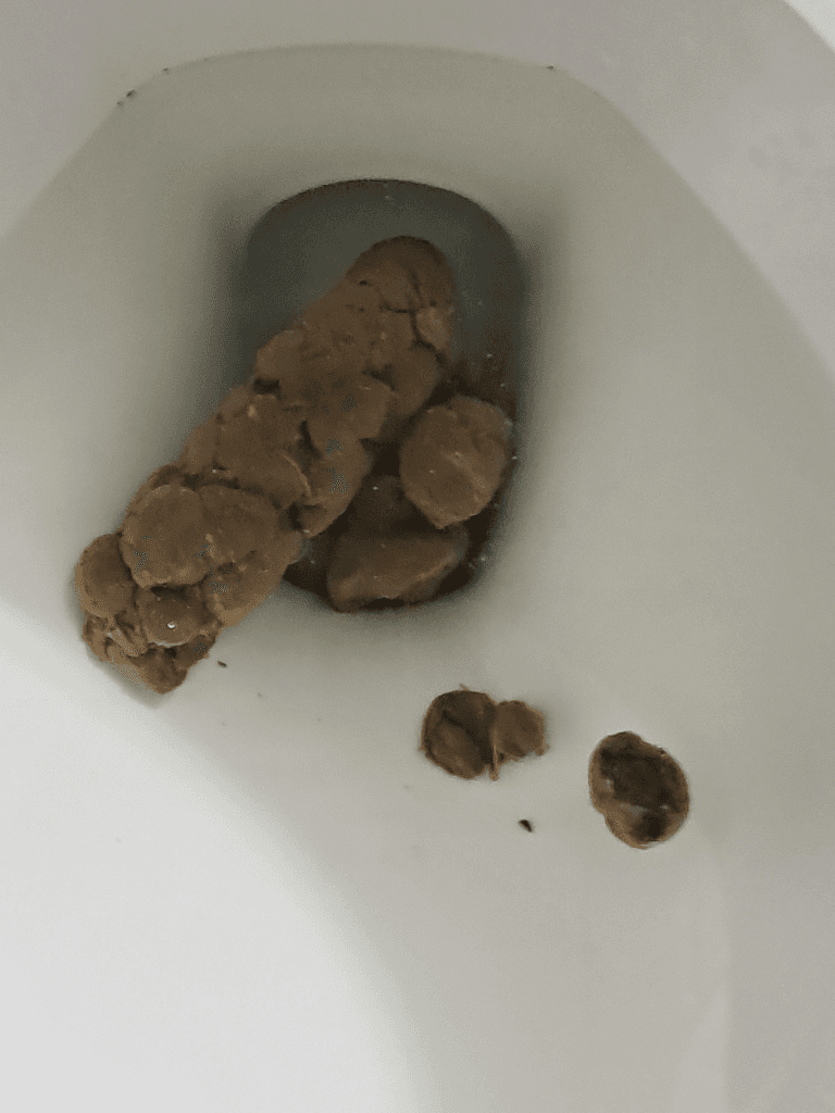 6번 째 사진
