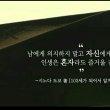 쌈박한집게벌레292