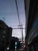 튼튼한무희새289