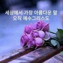 창백한매사촌142