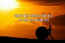 귀중한스라소니70