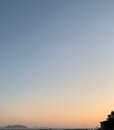 갸름한홍관조231