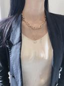 화사한직박구리81