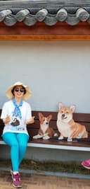 기민한군함조223