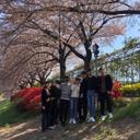 견실한코브라233