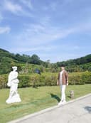 참신한어치284