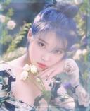 넉넉한동박새238