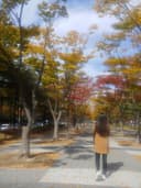 깔끔한멧돼지168
