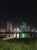 호기로운발발이15