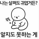 고상한반달곰225