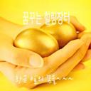 꽃다운벌220