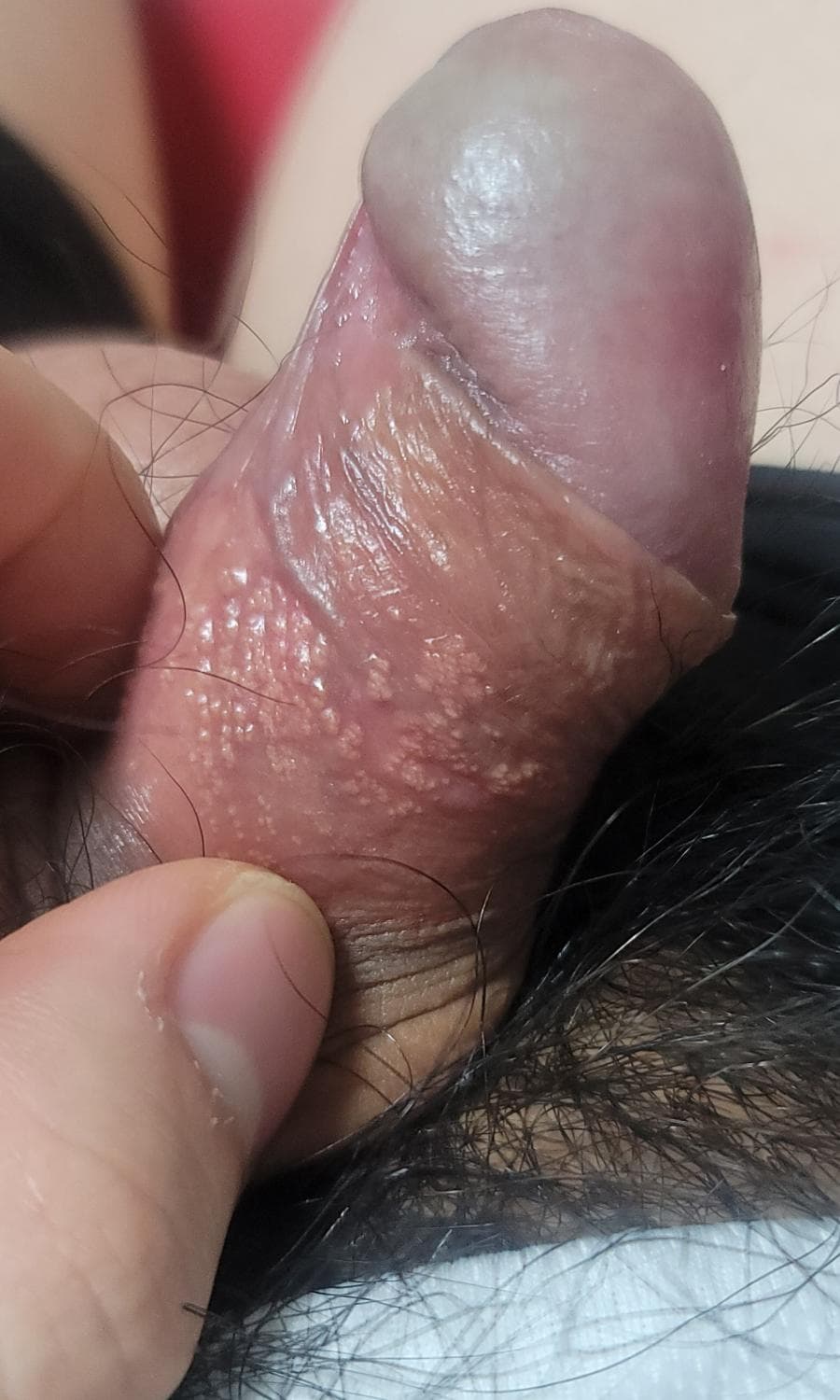 2번 째 사진