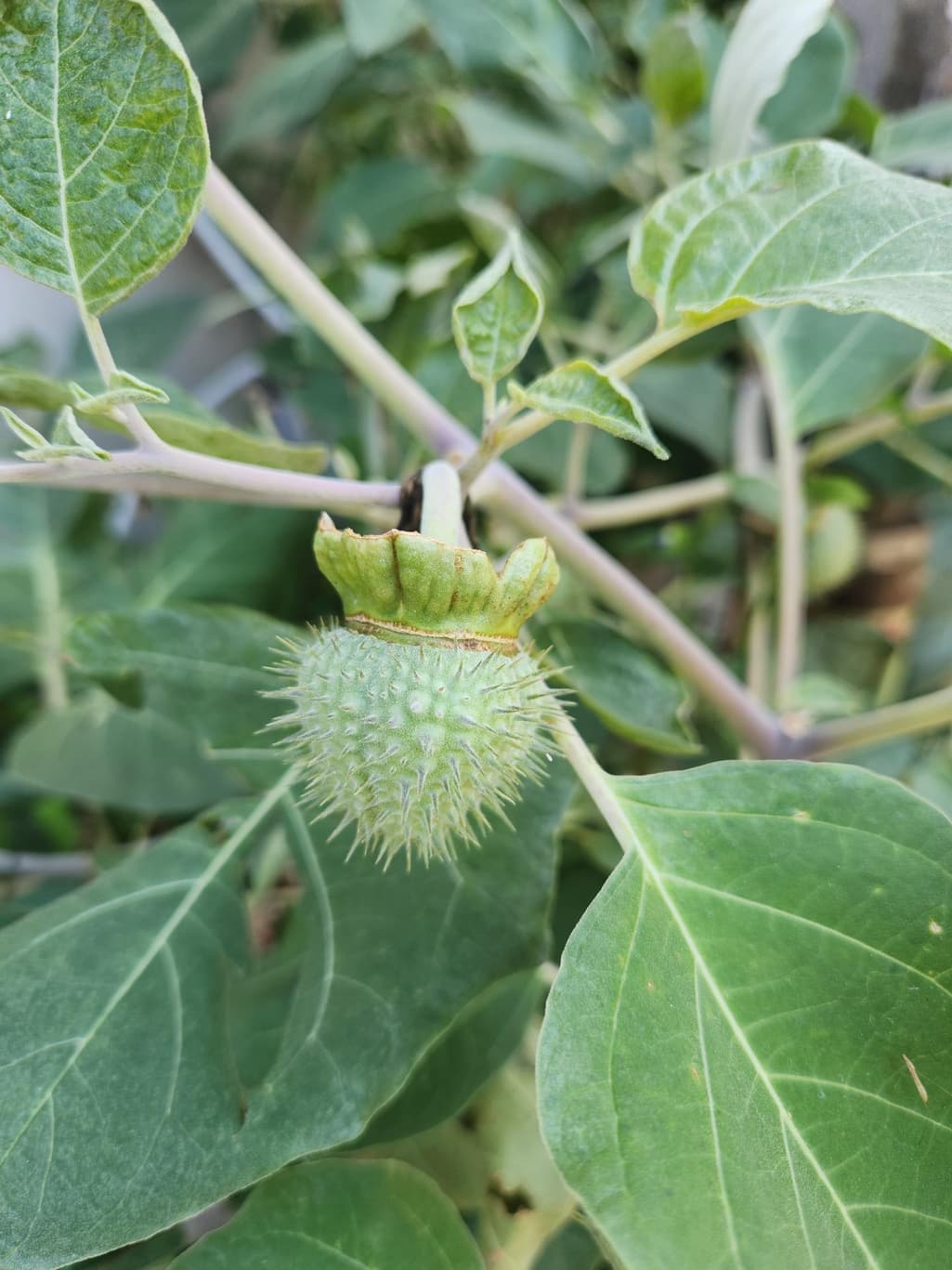2번 째 사진