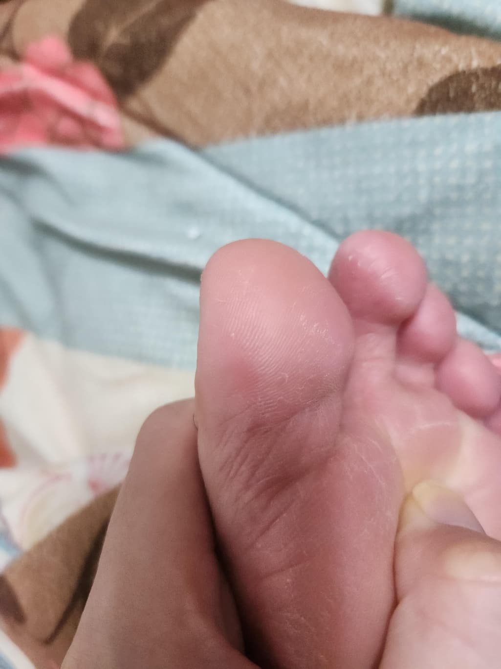 2번 째 사진