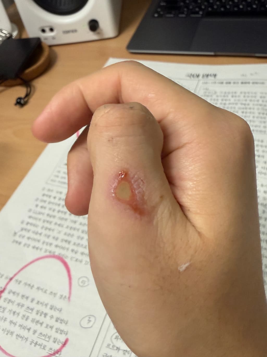 3번 째 사진