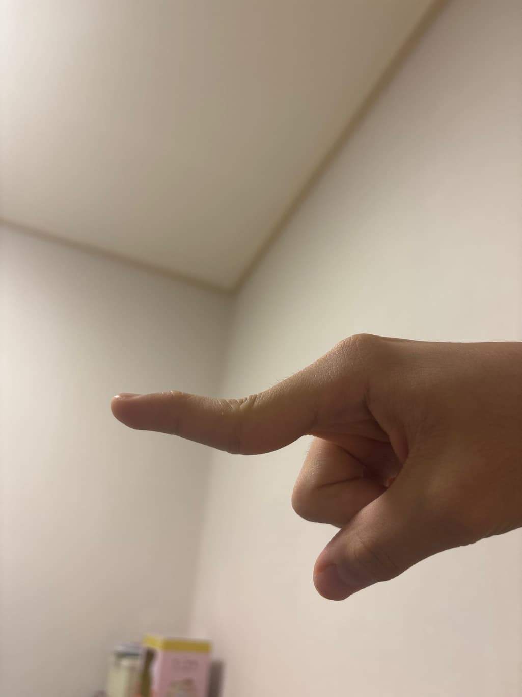 2번 째 사진
