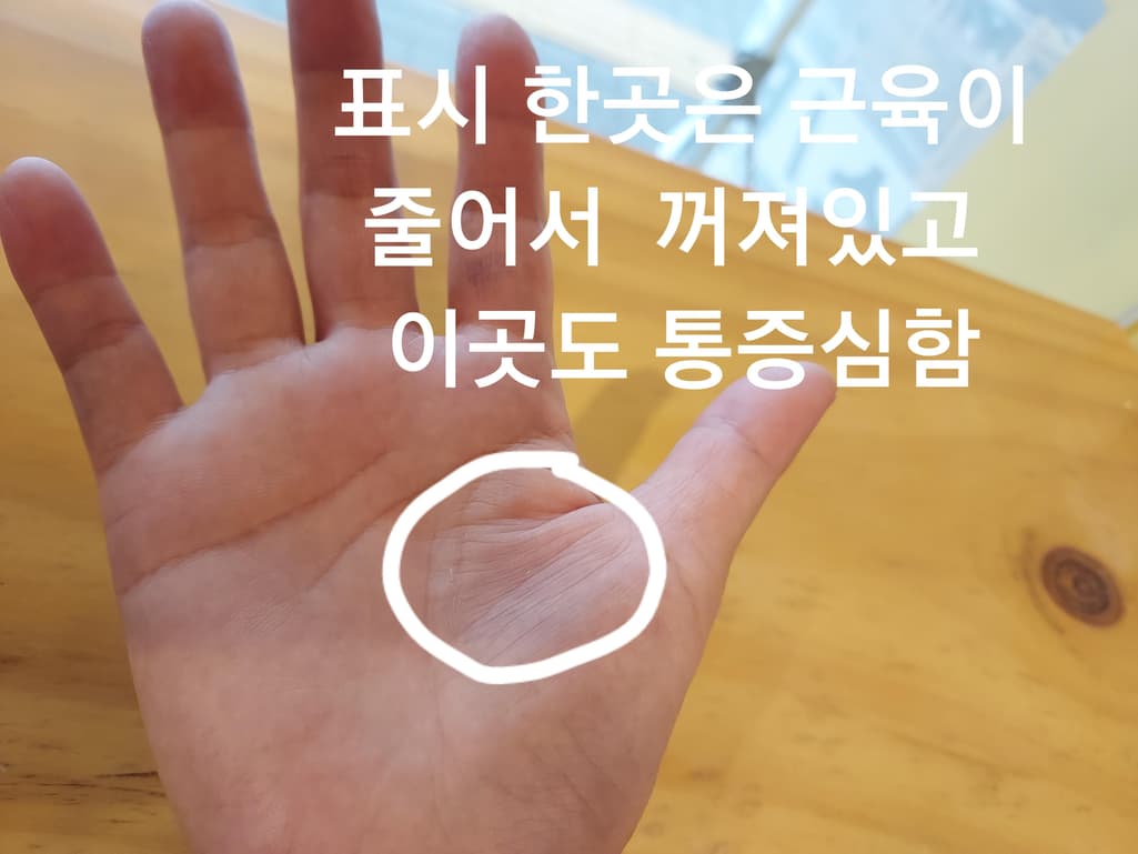3번 째 사진