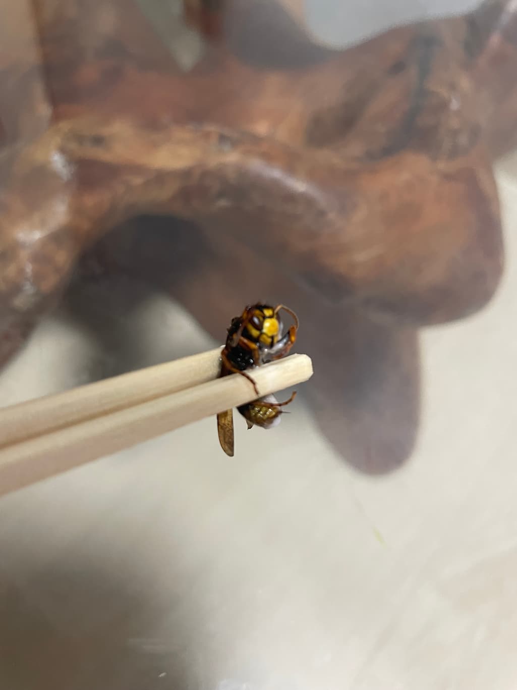 2번 째 사진