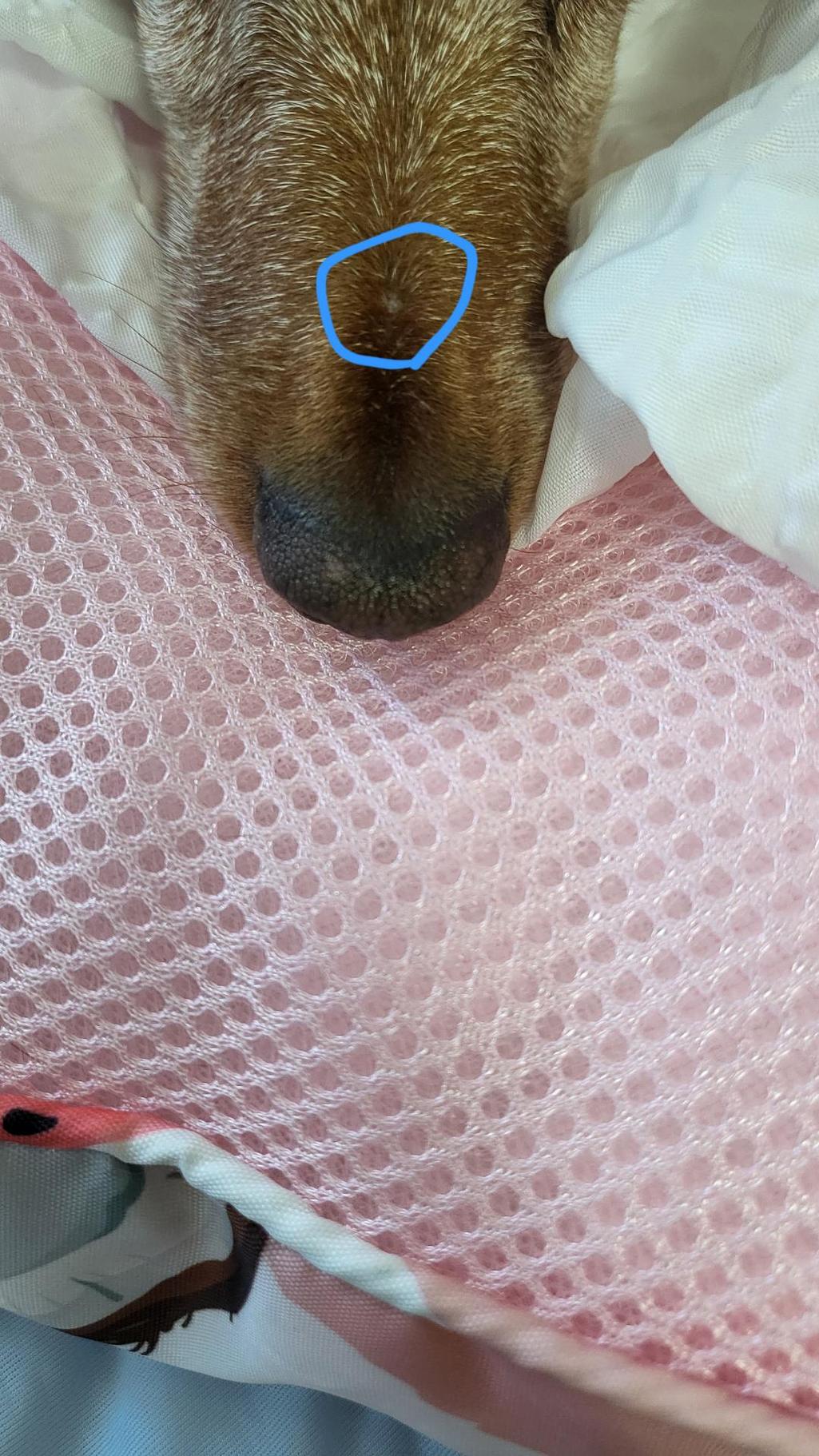 2번 째 사진