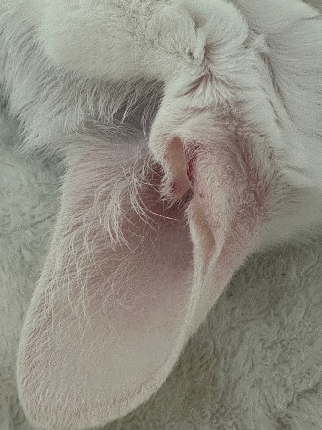 2번 째 사진